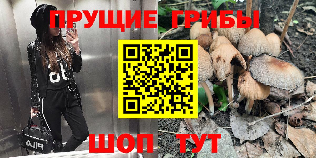 Искитим  где можно купить   Вход с VPN  Псилоцибиновые грибы мухоморы  Галлюциногенные грибы прущие грибы 