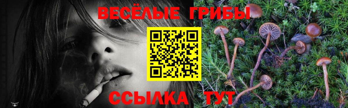 Псилоцибиновые грибы мухоморы Искитим